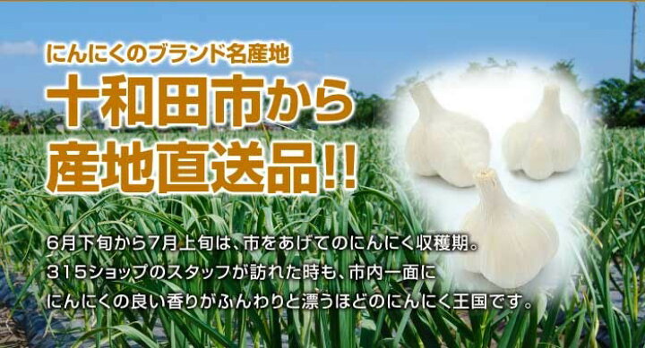 楽天市場】【令和6年産】にんにく B品2Lサイズ 10kg 【送料無料】青森 