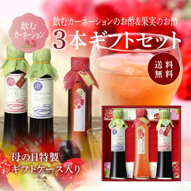 送料無料 ※北海道・沖縄・離島除く飲むカーネーションのお酢＆果実のお酢 3本詰合せギフト母の日 義母 母 健康 ギフト プレゼント 花以外 誕生日プレゼント 内祝 お返し 内祝い 出産内祝 飲む酢 飲むお酢 果実酢
