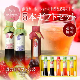 送料無料 ※北海道・沖縄・離島除く飲むカーネーションのお酢＆飲む果実のお酢 5本詰合せギフト母の日 義母 母 健康 ギフト プレゼント 花以外 誕生日プレゼント 内祝 お返し 内祝い 出産内祝 飲む酢 飲むお酢 果実酢