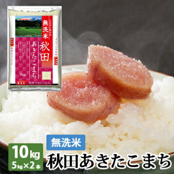 楽天市場 無洗米 新潟県産 コシヒカリ 5kg 令和 3年産 送料無料 こしひかり 米 白米 ミツハシライス お米 おこめ 日本米 人気 新潟県 新潟 定番 無洗 国内産 国産 ミツハシ ふっくら 新潟米 美味 美味しい コンビニ受取対応 ミツハシライス お米 玄米 雑穀