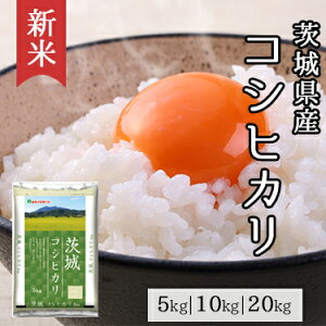 V 錧Y RVqJ 5kg 10kg 20kg ߘa 7NY b  ~cnVCX ʕ   Y Y 錧 Ђ lC     5L 10L 20L ӂ
