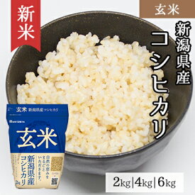 新米 玄米 新潟県産 コシヒカリ 2kg 4kg 6kg 令和 7年産 ｜ 送料無料 ミツハシライス 国産 国内産 新潟県 こしひかり 人気 おすすめ 美味しい おいしい 定番 2キロ 4キロ 6キロ コンビニ受取対応 幸浦