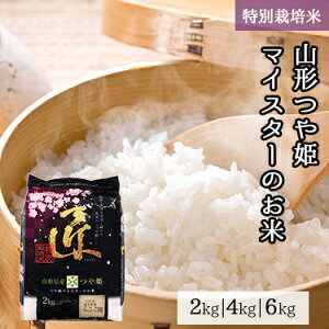 �y�|�C���g10�{�z�R�`���Y ��P �}�C�X�^�[�̂��� 2kg 4kg 6kg �ߘa 7�N�Y | �������� �~�c�n�V���C�X ��ʕ� ���� ���� ���Y �R�` ��Ђ� �l�C �������� �������� �������� �M�t�g 2�L�� 4�L