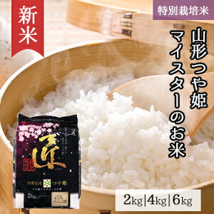 V R`Y P }CX^[̂ 2kg 4kg 6kg ߘa 7NY |  ~cnVCX ʕ   Y R` Ђ lC    Mtg 2L 4L 6L u