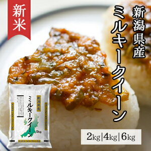 V VY ~L[NC[ 2kg 4kg 6kg ߘa7NY b  ~cnVCX ʕ   Y V ~L[NB[ lC    2L 4L 6L  