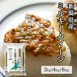 �V�����Y �~���L�[�N�C�[�� 2kg 4kg 6kg �ߘa7�N�Y �b �������� �~�c�n�V���C�X ��ʕ� ���� ���� ���Y �V�� �~���L�[�N�B�[�� �l�C �������� �������� �������� 2�L�� 4�L�� 6�L�� �������� ��A