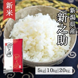 V VY VV 5kg 10kg 20kg ߘa 7NY b  ~cnVCX ʕ   Y Y V ̂ lC     5L 10L 20L S |