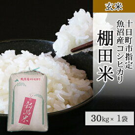 玄米 30kg 棚田米 十日町市指定 魚沼産 コシヒカリ 令和 5年産 ｜ 高級米 マクロビ 自然食品 送料無料 こしひかり 米 ミツハシライス お米 おこめ 日本米 産地直送 国内産 国産 ミツハシ 魚沼 棚田 産直