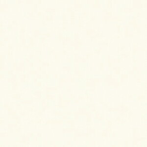 _CmbNV[g EXV[Y3M_CmbNtB Single Color VOJ[ PS-976EX  1220mm 1i50mj