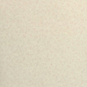 _CmbNV[g3M_CmbNtB փhAtH[V[g  FA-024DR  1000mm ×1m (DR-001)