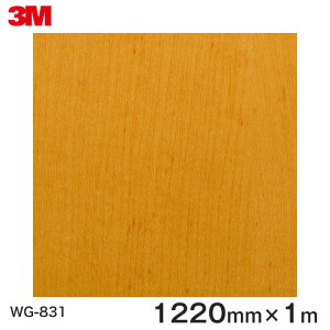 ダイノックシート<3M><ダイノック>フィルム 木目シート Wood Grain ウッドグレイン メイプル 柾目 WG-831 原反巾 1220mm ×1m