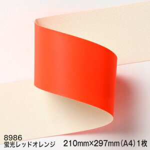 3MXRb`Cg˕z 8900V[Y 8986iubhIWjA4TCYi210mmx297mmj1RɁA݂͂Ő؂ĕzɖDt܂B