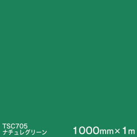 TSC705 (ナチュレグリーン) ＜3M＞＜スコッチカル＞フィルムJシリーズ （透過）スリーエム製 屋外内照式看板 マーキングフィルム カッティング用シート 1000mm巾×1m 【あす楽対応】