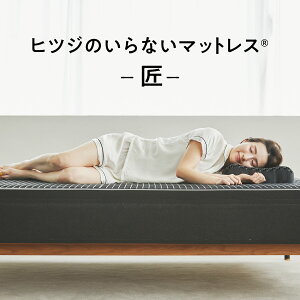 yLINE500~OFFN[|z qcŴȂ}bgX  VO Z~_u _u }bgX ᔽ}bgX  ᔽ   Ɍ |PbgRC E^ TPE |Pb