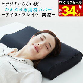 【最大36％OFFゲリラセール】 ヒツジのいらない枕カバー ー アイス・ブレイク 爽涼 ー 枕カバー 冷感 接触冷感 ひんやり枕カバー 通年 さらさら ふんわり オールシーズン 快眠 枕 カバー ピローカバー ピロー 洗えるカバー 夏用 pillow 夏用枕カバー