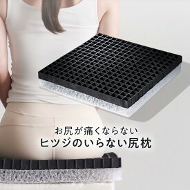 【LINE500円OFFクーポン！】ヒツジのいらない尻枕 椅子クッション チェアパッド 低反発座布団 厚め 大きい ヒツジのいらない枕 羊のいらない ひつじのいらない ひつじがいらない 枕 ひつじのまくら ひつじ 枕 羊の枕 tpe 枕 女性 男性