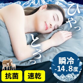 冷感 掛け布団 シングル ヒツジのいらない かけ布団 -アイス・ブレイク ゼロ- 母の日 父の日 ギフト ひんやり 冷たい 夏 夏用 熱吸収 洗える 洗濯 丸洗い 汗 抗菌 布団 ブランケット コンパクト 薄い 涼しい 軽い 軽量 ギフト プレゼント 200cm × 150cm 送料無料 太陽 公式