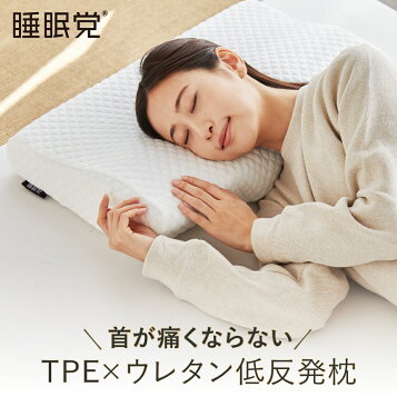 新品2点＋カバー付】トゥルースリーパー プレミアム 5cm 低反発万能  