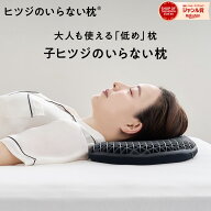 【LINE500円OFFクーポン！】 子ヒツジのいらない枕 枕 低め 洗える枕 低い枕 低反発枕 高反発枕 首が痛く…