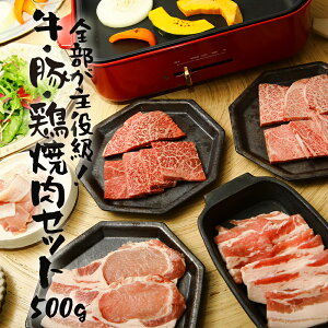 yz E؁E{ IēZbg 500g 2`3lO A5 a o[xL[ BBQ    Mtg J  Ε ˉz