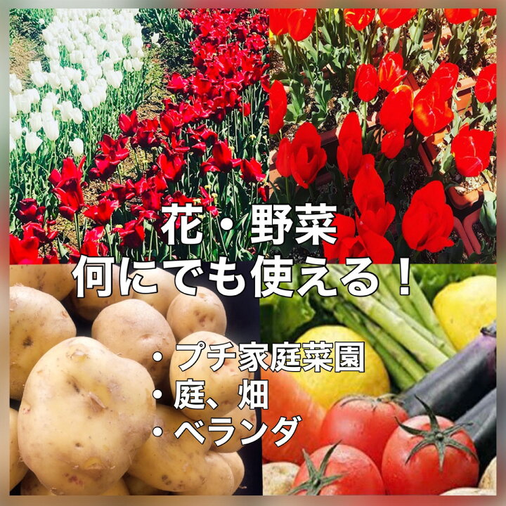 楽天市場 2セット 有機肥料 オーガニック 肥料 野菜 窒素 植物性肥料 植物性 土壌改良 有機肥料 オーガニック 農業 花 ガーデニング 活力剤 家庭菜園 微生物 おすすめ 低窒素 畑 発酵 炭化肥料 シリカ 珪素 ケイ素 高糖度 おいしい 美味しい 環境 Sbgs Powerspot