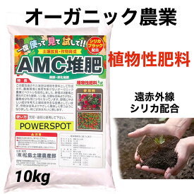 楽天市場 炭 ダイエット 花 ガーデン Diy の通販