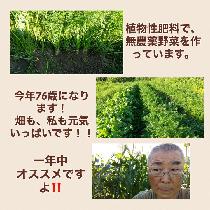 楽天市場 2セット 有機肥料 オーガニック 肥料 野菜 窒素 植物性肥料 植物性 土壌改良 有機肥料 オーガニック 農業 花 ガーデニング 活力剤 家庭菜園 微生物 おすすめ 低窒素 畑 発酵 炭化肥料 シリカ 珪素 ケイ素 高糖度 おいしい 環境 Sbgs Powerspot