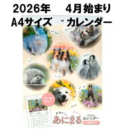 4月始まり かわいいあにまる カレンダー 2026 壁掛け A4サイズ 30cm×21cm 2026年 祝日 次月一ヵ月カレン…