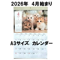 4月始まり 2026 可愛い子猫カレンダー 壁掛け A3サイズ 令和8年度 可愛いネコ写真 42cm×30cm 子猫 2026…