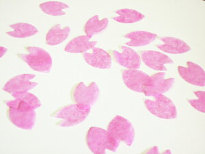 Z@h@~cN̎@Ɩp@Ԃт^@1kg @2.5cm×1.7cm@ @ɔ@]^@ԑ؋@@}@}@Cxg@p[eB[