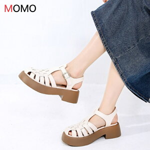 OJT_ XgbvT_ fB[X [t@[ T_ q[5cm }jbVV[Y RtH[gT_ ₷ 傱Ɨ ؍ fB[X ~hq[