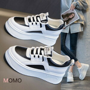 {vXj[J[ g8chAbv JWAX|[cV[Y VvXj[J[ Xj[J[ ₷Xj[J[ VvV[Y ؍t@bV ؍JWA lJW