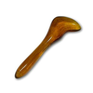 XeBbN c{ OAV JbT }bT[W w e    tbV