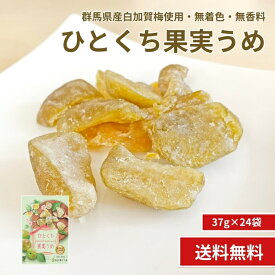 【群馬県産 ひとくち果実うめ 37g×24袋 】国産 梅 白加賀梅 青梅 ひとくち 群馬県産 ドライフルーツ ひとくち ドライ 半生 プレゼント ドライフルーツ 小分け リフレッシュ 南信州菓子工房 ギフト 長野 贈り物 個包装 送料無料 メール便