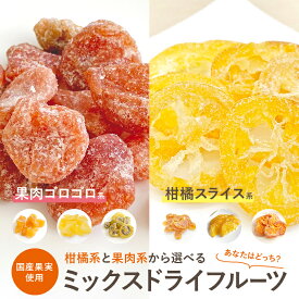 【選べるミックスドライフルーツ】国産 ドライフルーツ レモン りんご オレンジ みかん いちご 輪切り ドライ 半生 プレゼント ドライフルーツ 果物 フルーツ 南信州菓子工房 ギフト お菓子 ミックス 贈り物 個包装 送料無料 メール便 お試し 南信州