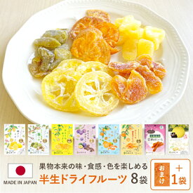 【半生ドライフルーツと寒天もち おまかせ8袋 おまけ1袋付き】南信州菓子工房公式 国産 ドライフルーツ レモン りんご オレンジ 干し芋 いちご 輪切り 寒天もち ドライ 半生 プレゼント おまかせ ギフト 個包装 送料無料 メール便