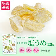 【塩うめ ひとくち果実 20g× 8袋・20袋・40袋から選べる 】熱中症対策に！南信州菓子工房公式 国産 群馬…