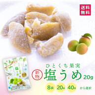 【南信州菓子工房公式 国産塩うめ20g× 8袋・20袋・40袋から選べる 】熱中症対策 スイーツ 半生 白加賀梅…