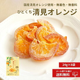 ドライオレンジ 【国産 ひとくち清見オレンジ 24g×8・20・40袋】南信州菓子工房公式　半生 ドライフルーツ 清見オレンジ オレンジ 清見 柑橘 かんきつ プレゼント ドライフルーツ 小分け リフレッシュ 送料無料 メール便