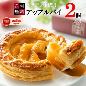 御中元 セット価格 アップルパイ 並木物語2個セット 常温便 りんごケーキ りんごパイ シナモン不使用 プレゼント アップルケーキ ホールケーキ ギフト 敬老の日 出産祝 内祝 入学祝 誕生日 贈り物 焼き菓子 フルーツケーキ 送料無料
