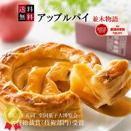 御中元【送料無料】ギフト ふじりんごタップリ シナモン不使用｜アップルパイ 並木物語 常温便 りんごケ…