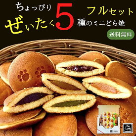 ＼お中元 夏ギフト 対応中 ポイント3倍／もぐもぐ どら焼き ちょっぴり ぜいたく 5種のミニどら焼きフルセット 15個入 ｜御中元 お菓子 和菓子 小豆 抹茶 抹茶 チョコ バナナ 甘夏 白餡 常温 粒あん 個包装 ギフト 賞味期限 感謝 猫 ねこ ネコ お試し ポッキリ 送料無料