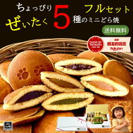 【買い回り対象】＼何かと重宝／送料無料 もぐもぐ どら焼 ちょっぴり ぜいたく 5種のミニどら焼きフルセ…