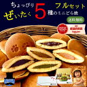 ＼ポイント5倍／父の日 どら焼き ギフト 詰め合わせ ミニどら焼き 14個 個包装 お試し お取り寄せ 和菓子 1000円ポッ…
