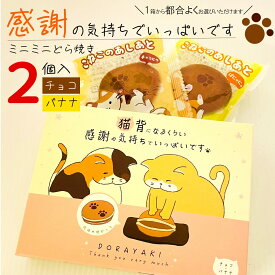 ＼感謝の気持ちでいっぱいです ミニミニどら焼き／ 2種のミニどら焼き2個セット チョコ バナナ 各1個づつ お好みで箱数をお選びいただけます｜常温 和菓子 お菓子 ギフト 感謝 焼印 猫 ねこ 異動 お配り 11箱から【送料無料】