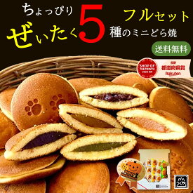 ＼ポイント2倍／1000円ポッキリ 送料無料 【ハロウィンシール無料貼付】もぐもぐ どら焼 ちょっぴり ぜいたく 5種のミニどら焼きフルセット15個入｜お手軽サイズ 食べやすい大きさ お菓子 和菓子 小豆 抹茶 チョコ バナナ 甘夏 常温 粒あん 個包装 感謝 ネコ お試し ポッキリ