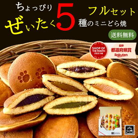1000円ポッキリ 送料無料 もぐもぐ どら焼 ちょっぴり ぜいたく 5種のミニどら焼きフルセット15個入｜お手軽サイズ 食べやすい大きさ お菓子 和菓子 小豆 抹茶 チョコ バナナ 甘夏 常温 粒あん 個包装 感謝 ネコ お試し ポッキリ