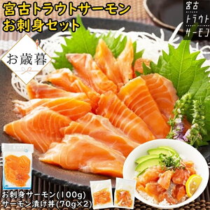 Ε Mtg {ÃgEgT[ hg 100g Ђ 70g × 2 Zbg CJq T[ ؂藎Ƃ Ђ̋ hg T[ ⓀT[ T[hgp CNO HוMtg 