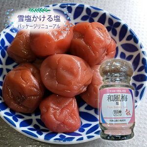ቖ鉖ya~zyrza̎RY̔~gpy̎Zɖ\ziƂ̓őy܂ƂߔɁz {Ó p_CXv