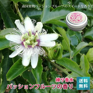 AOi` 荁_썑̍􁃃pbVt[cy8gzyz{Ó fB[X Y v[g v`Mtg tOX 蕨